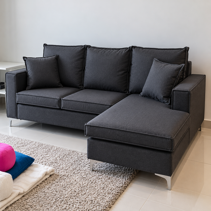 CLASS 2 Seater + L Shape Sofa