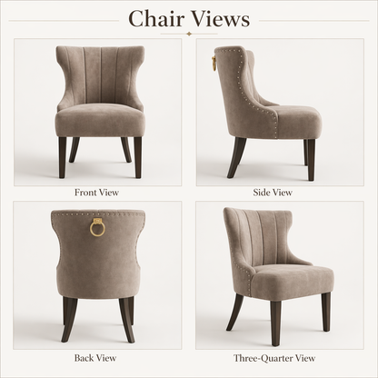 Butterfly Shell Chairs (ST21)