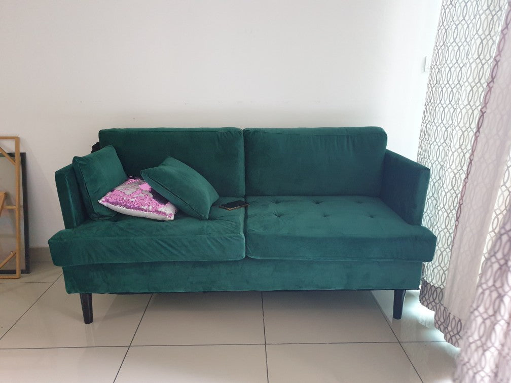 Sofa 2 Seater Modern Sofa Tufted Seat